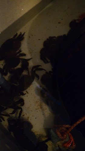 Opinii despre かに聖 în 福岡市 - 飲食業