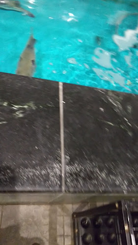 日本料理専門店 魚長 - 飲食業