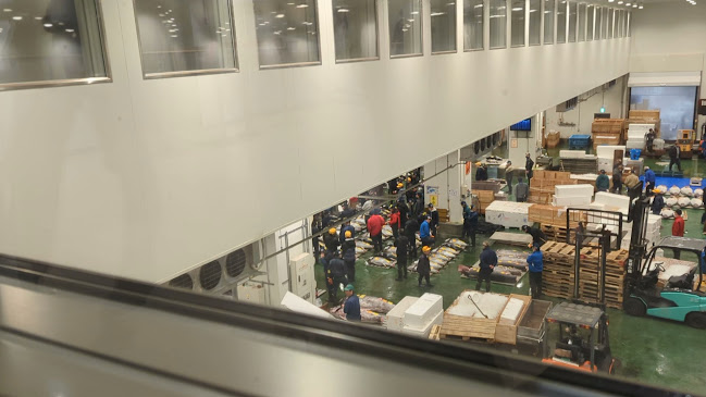 Comentarii opinii despre 豊洲市場