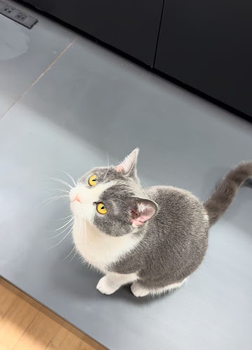 Puchi Marry ラソラ札幌店 - 札幌市