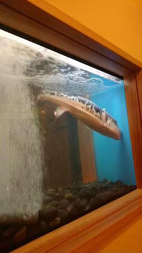 日本料理 ふぐまる