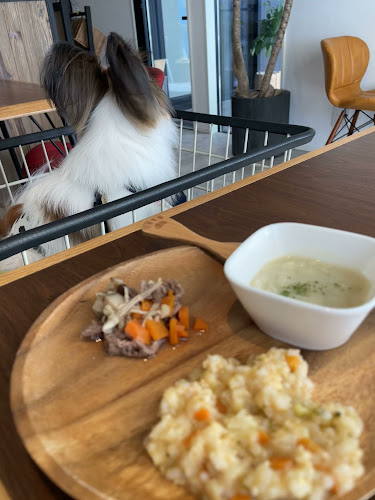 Opinii despre DouDouDo în 船橋市 - 飲食業