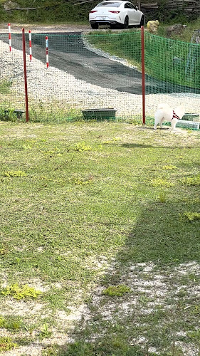 Opinii despre D-LAND în 京都市 - 飲食業