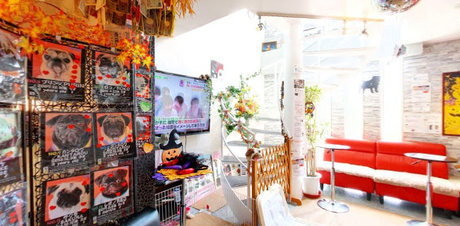 パグカフェ LivingRoom 京都 - 京都市