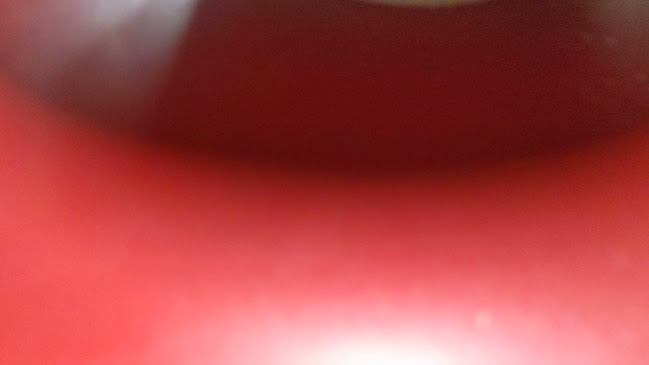 Opinii despre 八起（屋台） în 呉市 - 飲食業