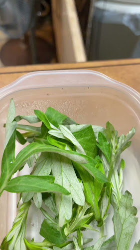 〒901-0305 沖縄県糸満市西崎６丁目８−２