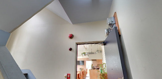 Comentarii opinii despre yurucafe