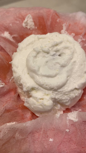 道後ミルクチーズケエキ - 飲食業