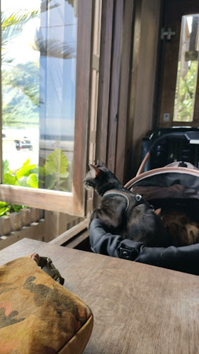 ヴィーナスカフェ - 飲食業