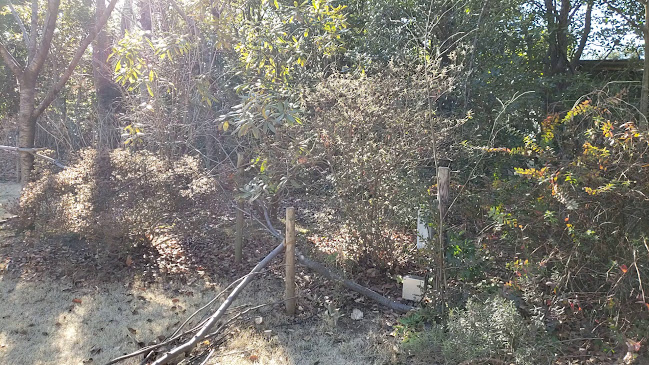 Comentarii opinii despre ラ・ベントゥーラ