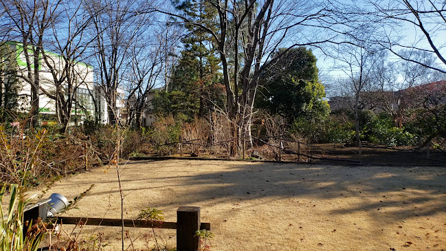 ラ・ベントゥーラ - 飲食業