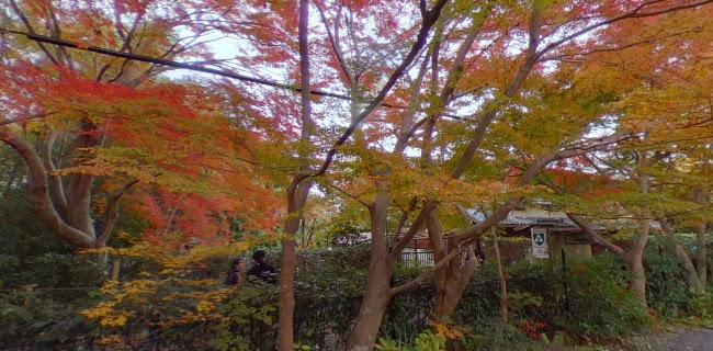 アイトワ - 飲食業