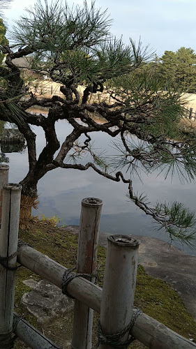 Opinii despre さざなみ茶屋 în 岡山市 - 飲食業