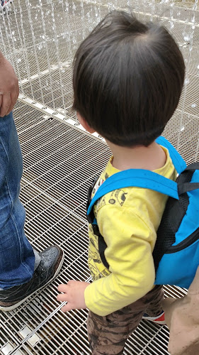 Comentarii opinii despre スターバックス コーヒー 中野セントラルパーク店