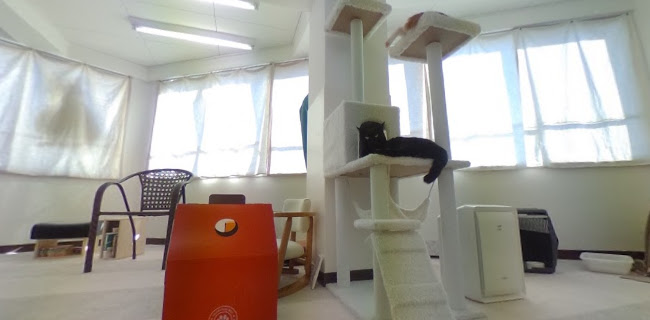 保護ねこカフェ おむすび