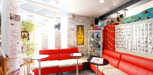 パグカフェ LivingRoom 京都