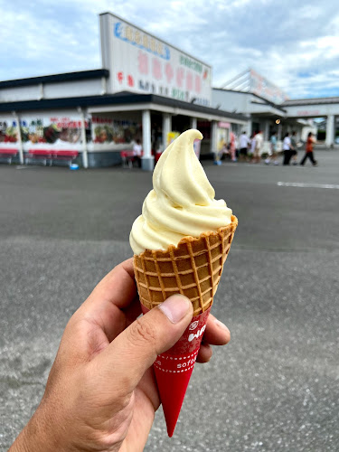 たてやま - 館山市