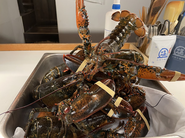 Opinii despre リストランテ寺崎 în 渋谷区 - 飲食業