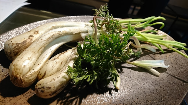 〒062-0934 北海道札幌市豊平区平岸４条６丁目３−１１