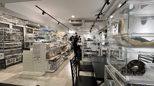 - Cafe & Snake - 東京スネークセンター - 渋谷区