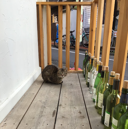 Comentarii opinii despre 日本・国産ワインと和食 大谷輪韻蔵