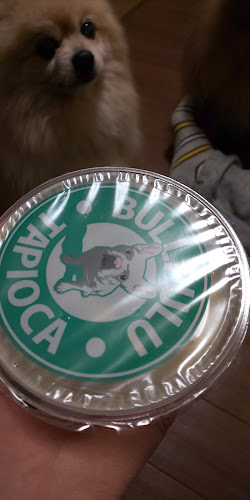 Bull Pulu アリオ亀有店 - 葛飾区