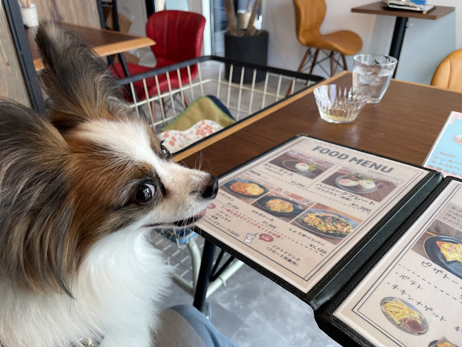 Comentarii opinii despre DouDouDo