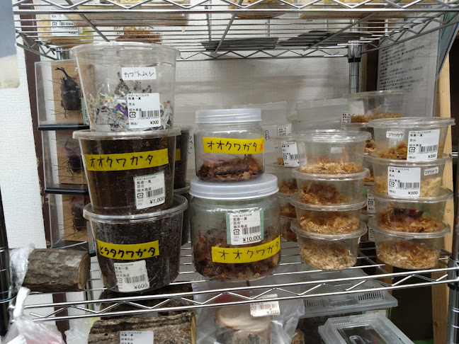 〒321-0982 栃木県宇都宮市御幸ケ原町５５−５