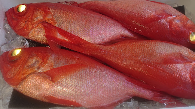 （有）マルエ水産 - 飲食業