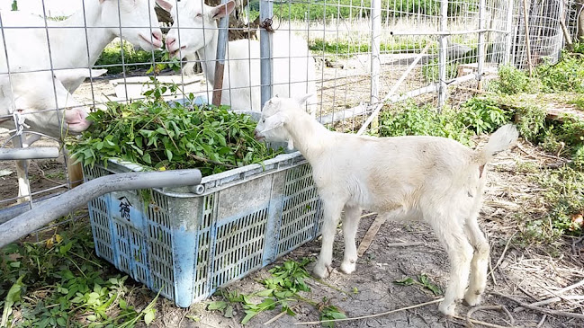 〒902-0075 沖縄県那覇市国場69