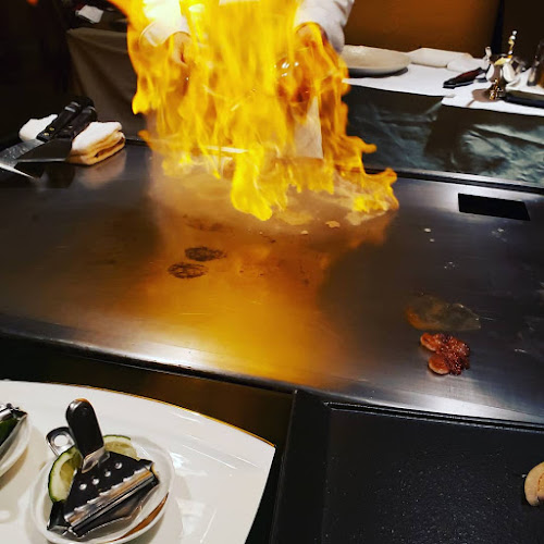 EZO TEPPAN W6 - 飲食業