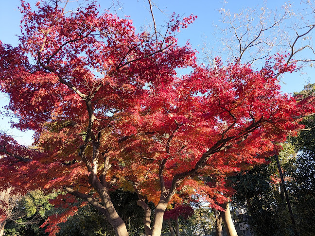 保土ヶ谷公園 - 飲食業