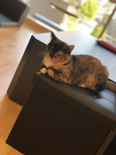 東札幌三条 1 1 1 ラソラ札幌店Aタウン2階, １丁目 白石区 札幌市 北海道 003-0003