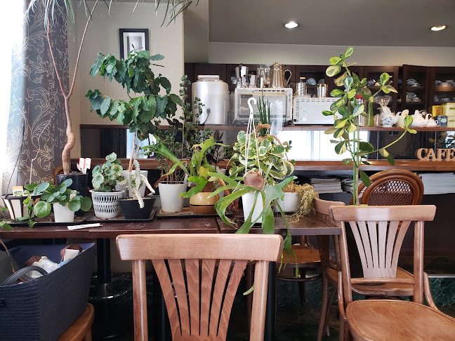 cafe with garden - 飲食業