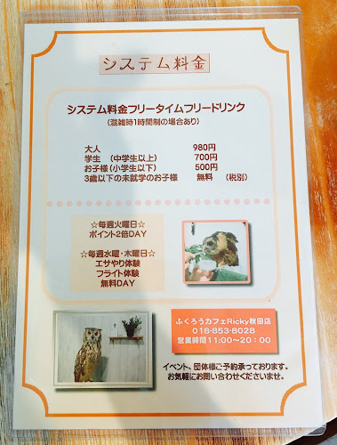 エキゾチックアニマルカフェRicky秋田店 猫カフェ+ - 飲食業