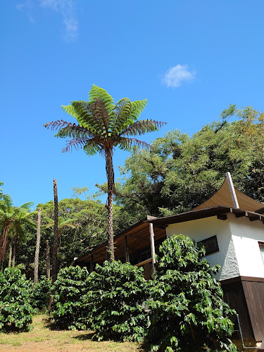 〒905-0004 沖縄県名護市中山３７８