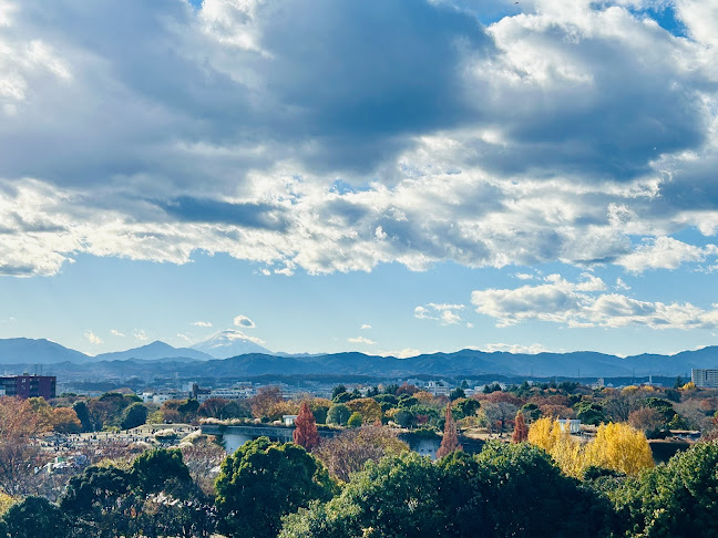 The Dragonfly Bar ザ ドラゴンフライ バー - 立川市