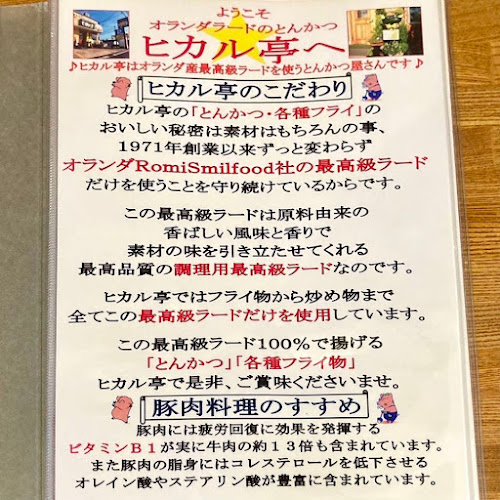 最高級ラードのとんかつ ヒカル亭 - 飲食業