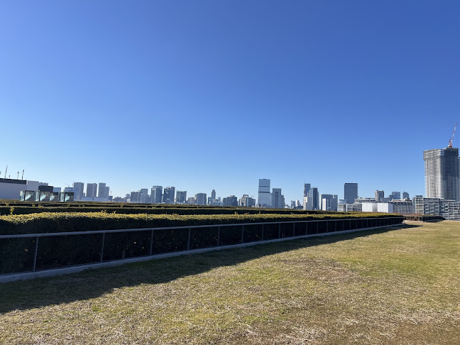 Comentarii opinii despre 豊洲市場