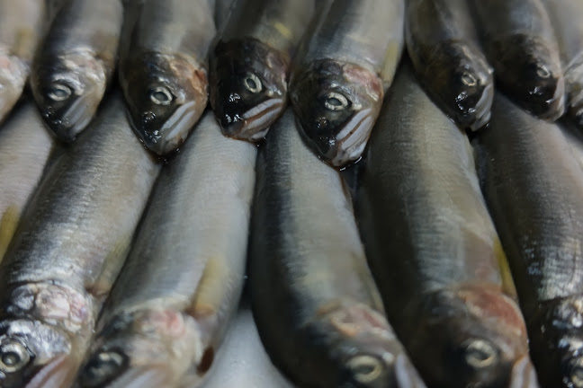 居酒屋食堂 めっし - 呉市