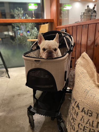 〒231-0023 神奈川県横浜市中区山下町８８−５