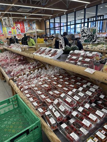 〒781-0083 高知県高知市北御座１０−４６