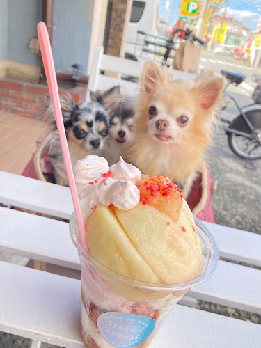カスタムアイス＆ジェラート Starry - 飲食業