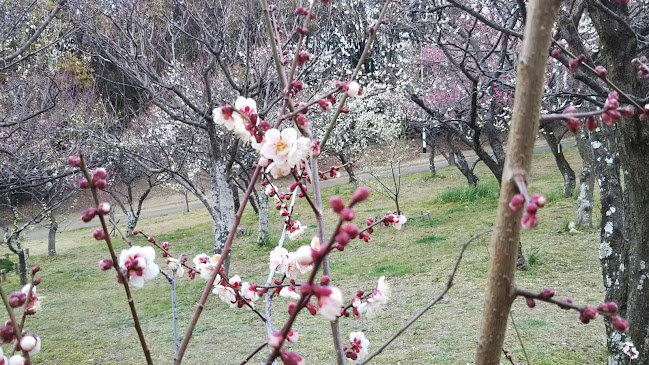GoodBBQ山田池公園 - 枚方市