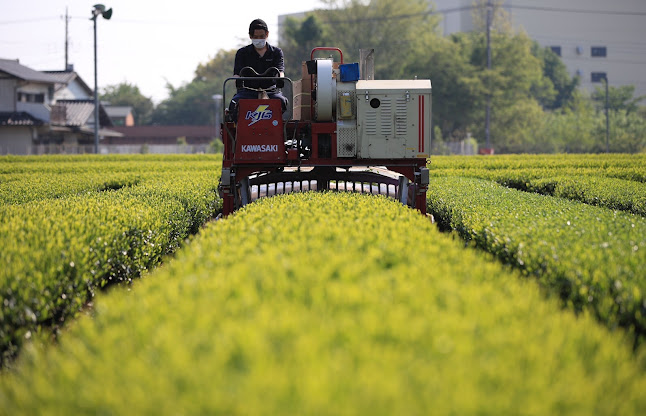 Opinii despre 清水園製茶工場 în 入間市 - 飲食業