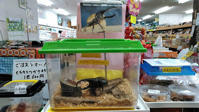 〒321-0982 栃木県宇都宮市御幸ケ原町５５−５