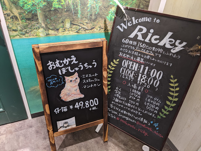エキゾチックアニマルカフェRicky秋田店 猫カフェ+