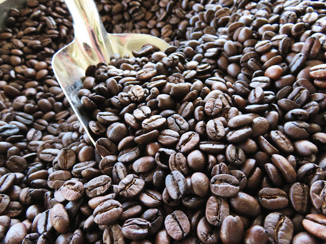 〒371-0821 群馬県前橋市上新田町９７７−２