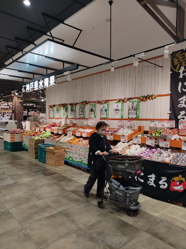 〒652-0844 兵庫県神戸市兵庫区中之島２丁目１−１