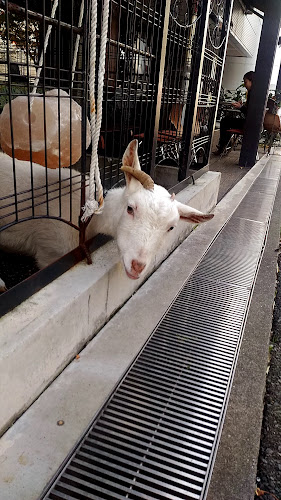 桜丘カフェ - 渋谷区